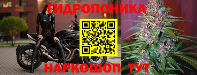 прущий лед Моздок