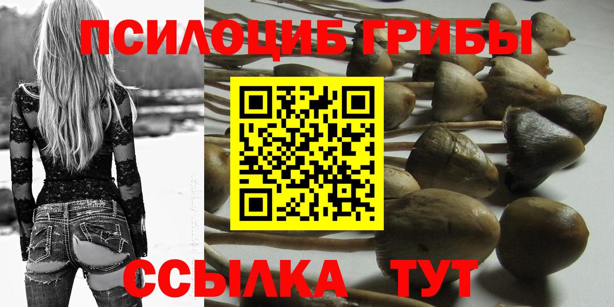 Псилоцибиновые грибы GOLDEN TEACHER  Вход с VPN  Старая Купавна 