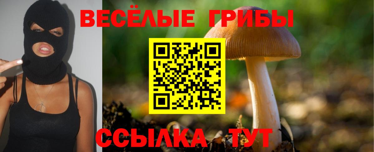 Псилоцибиновые грибы GOLDEN TEACHER Старая Купавна